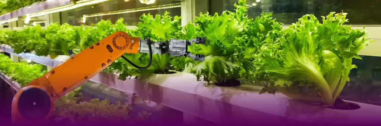 4 Technologies that are transforming the food and beverage industry