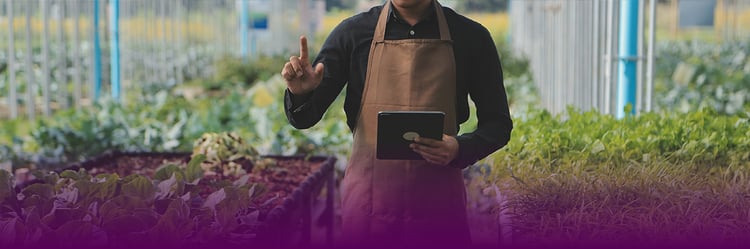 Best food and beverage sales practices - Skynamo Sales App - Skynamo.com