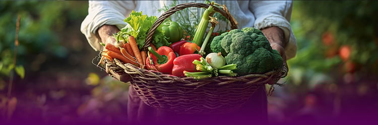 Jayed Products and Services - Skynamo Sales App - Skynamo.com