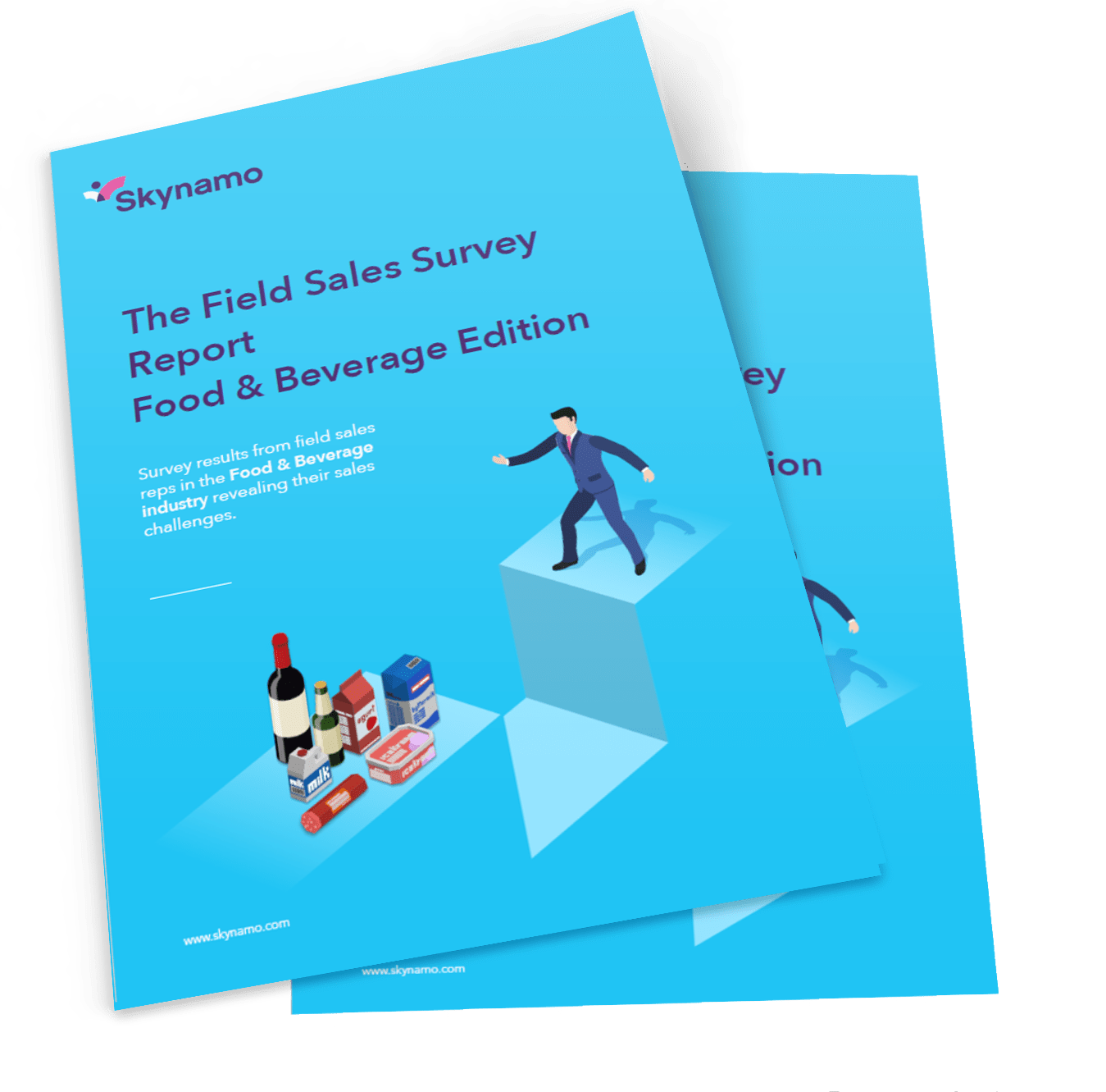 The Field Sales Survey Report_Food & Beverage Edition