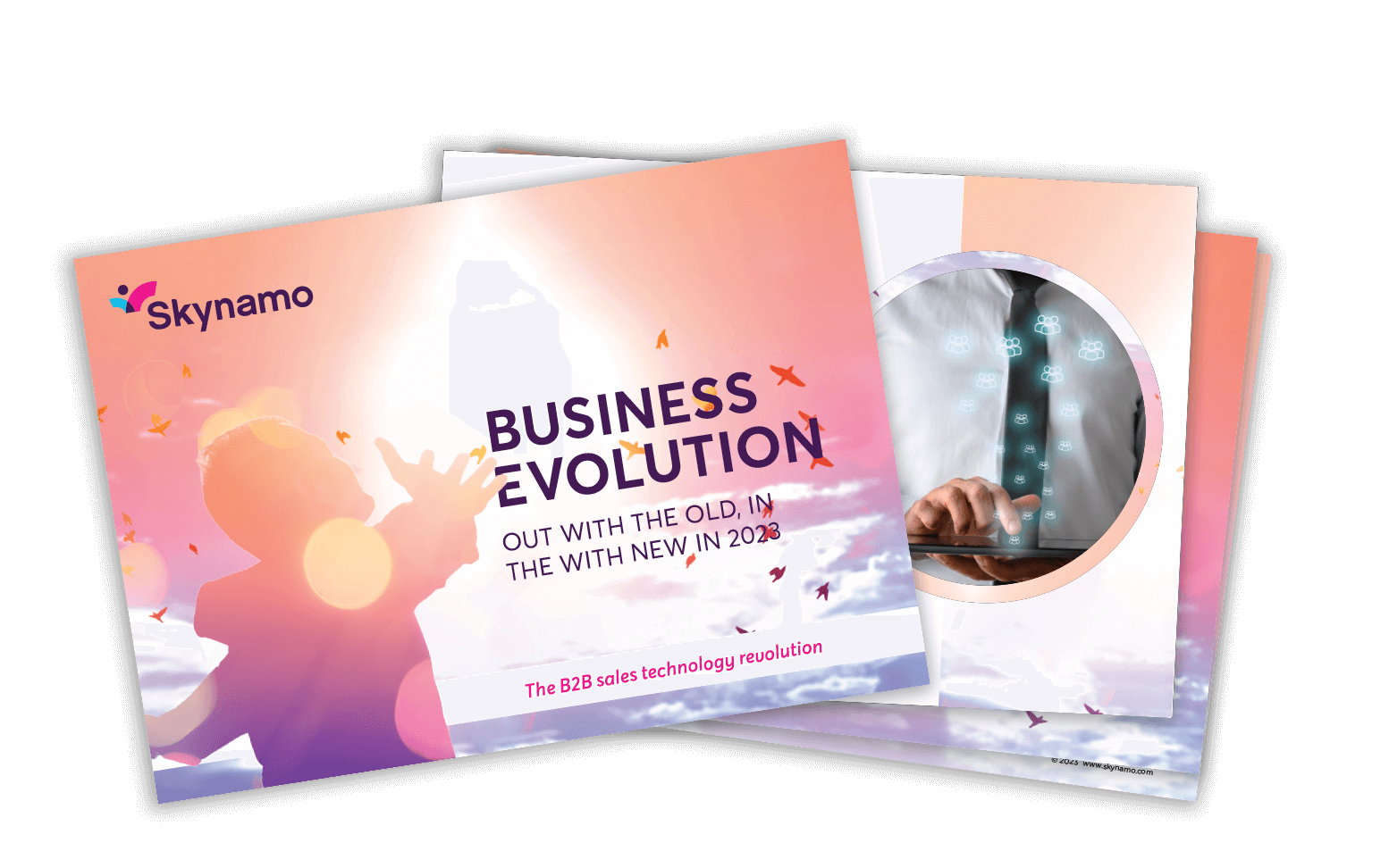Skynamo Business Evolution ebook