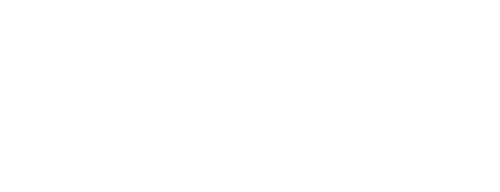 Nexus Seals client logo
