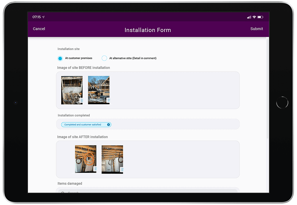 Skynamo Mobile Sales App- Installation form